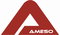 Logo von Partner Ameso